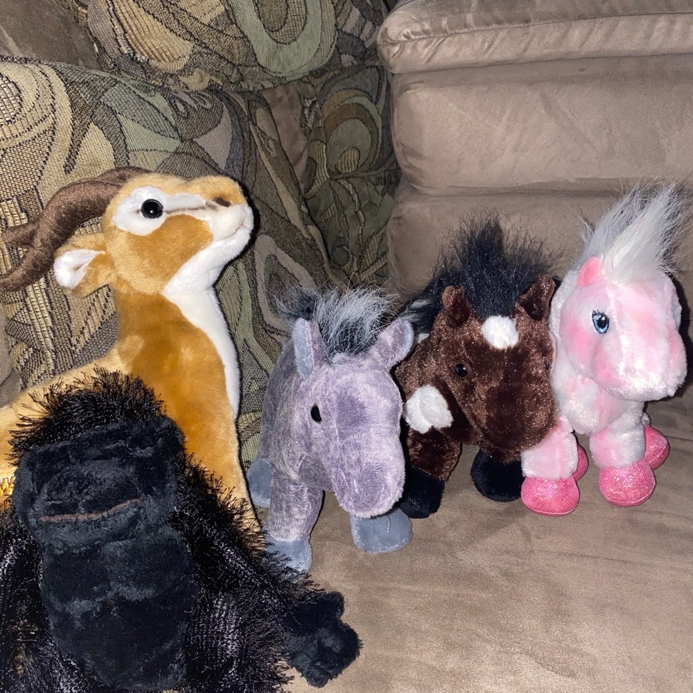 Webkinz